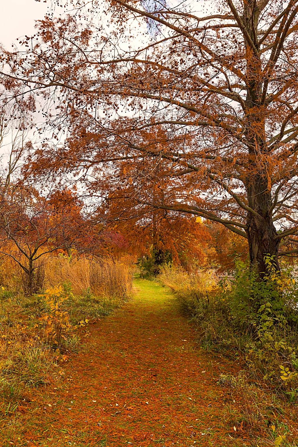 Lakeside Trail in Late Autumn sm